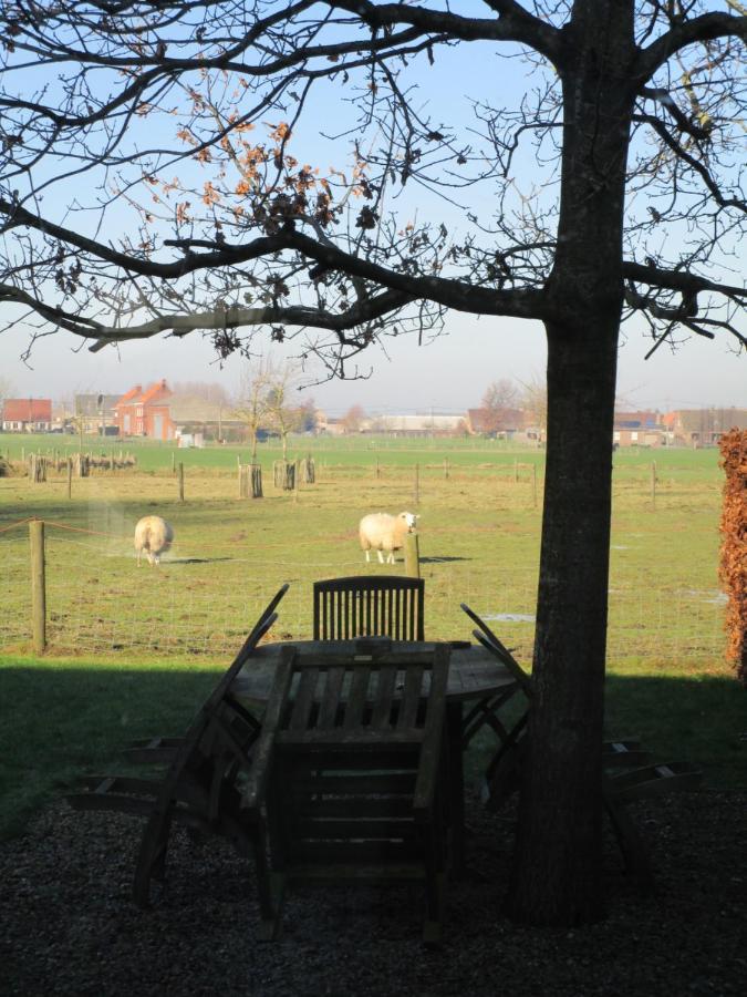 B&B De Pethaan Wielsbeke Esterno foto