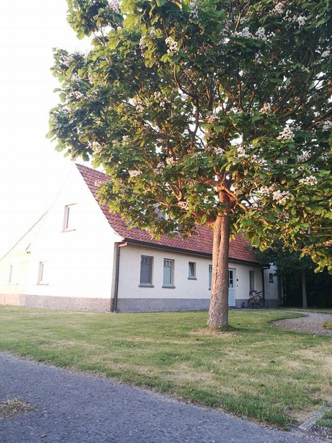 B&B De Pethaan Wielsbeke Esterno foto